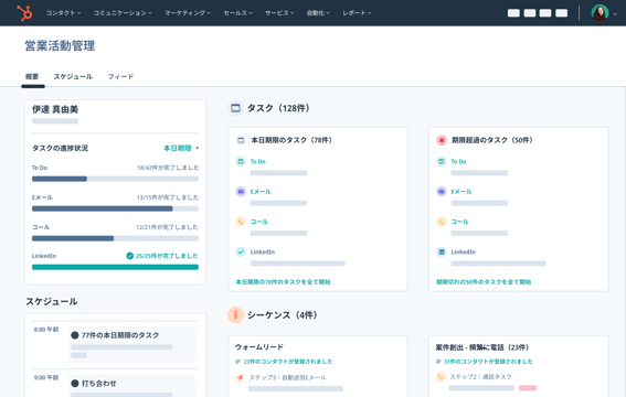 Sales Hub Professional 要約